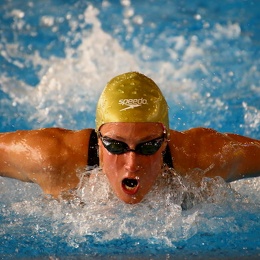 Natation